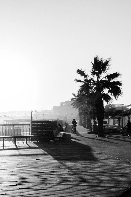 people on the sidewalk with two palm trees in the background