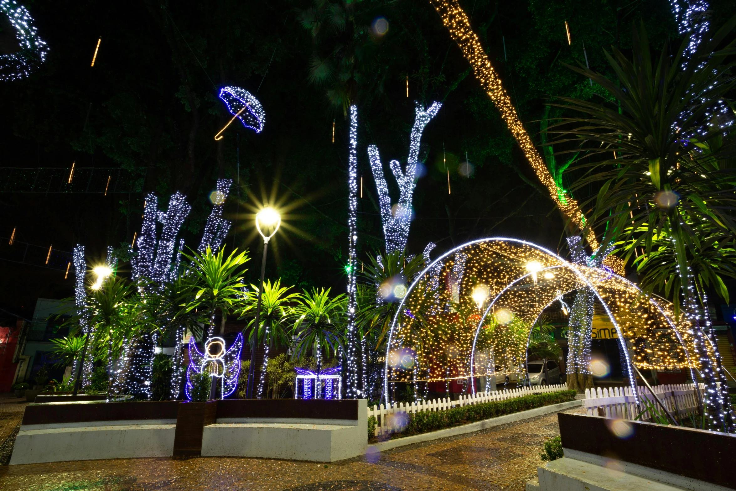 trees decorated with multicolored lights and palm trees