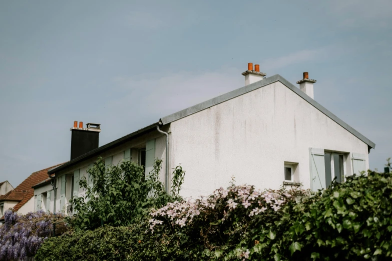 an old white house on the corner of a field with purple flowers