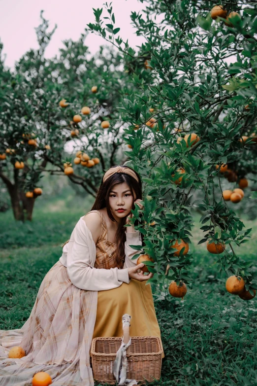 an orange is hanging from a tree in a field