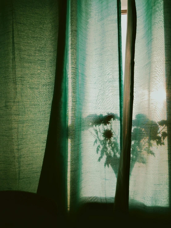green curtains with a vase with flowers on it
