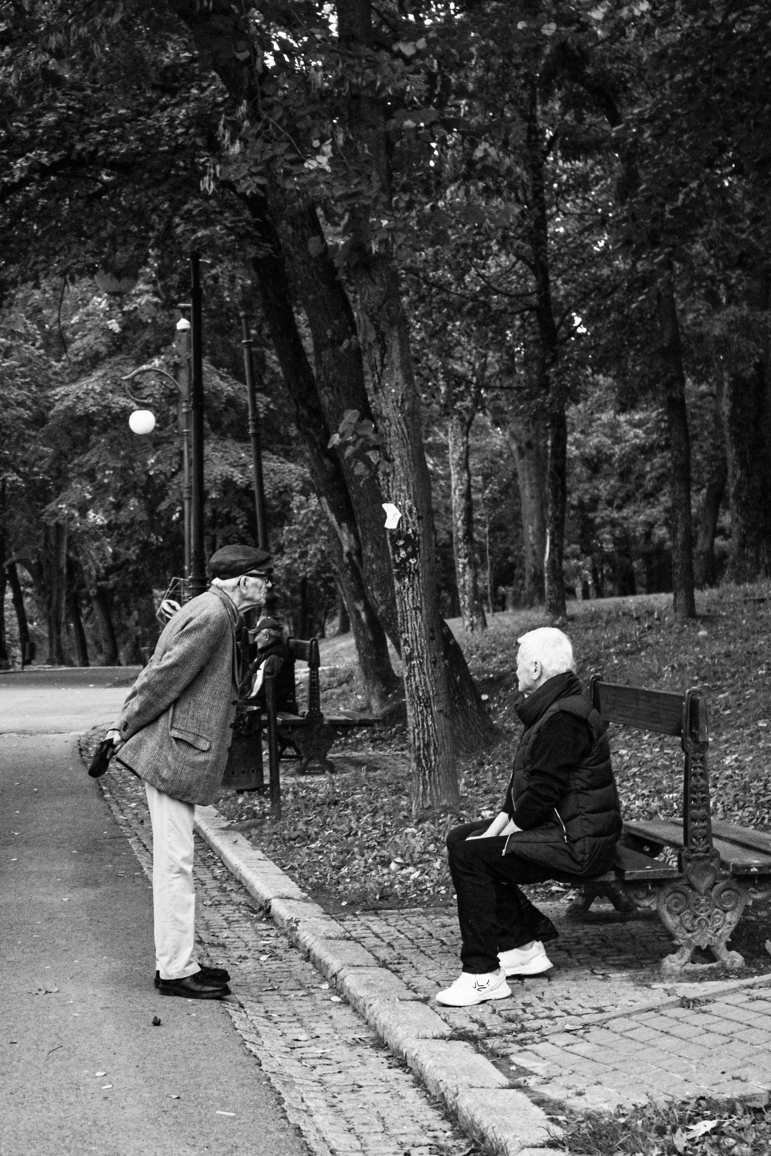 people sit on a bench at the park