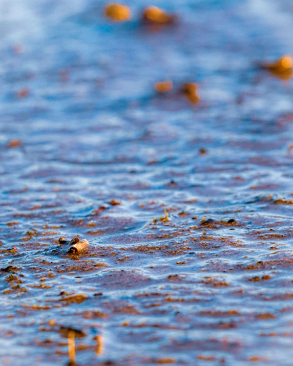 several small rocks sitting on a shore near water