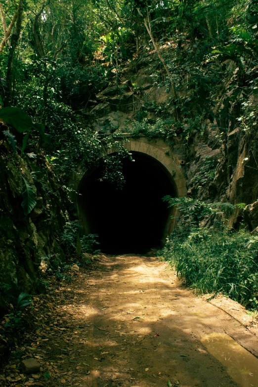 this is an outdoor place with dirt, rocks and trees