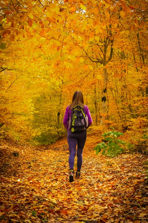 a woman walks down a leaf covered path in the woods