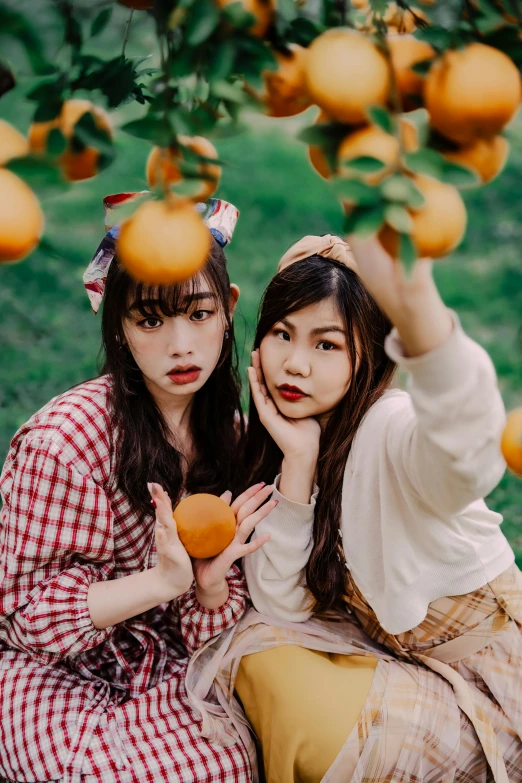 two girls sit in the grass underneath an orange tree