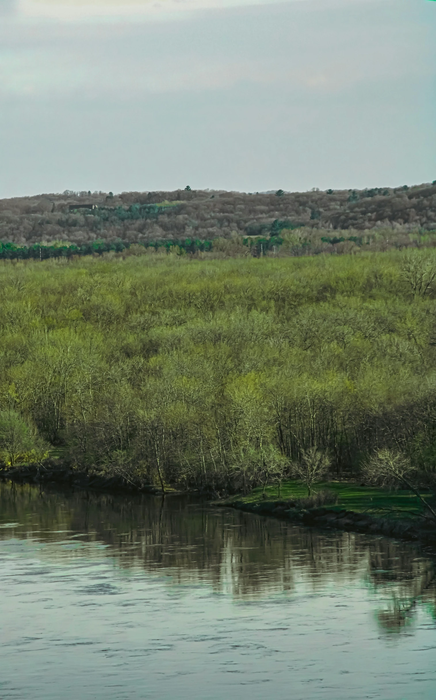 a horse standing next to a body of water