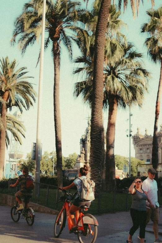 some palm trees some people and a red bike