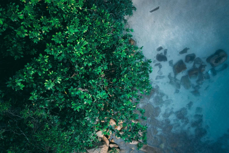 a picture looking down at the river that flows through