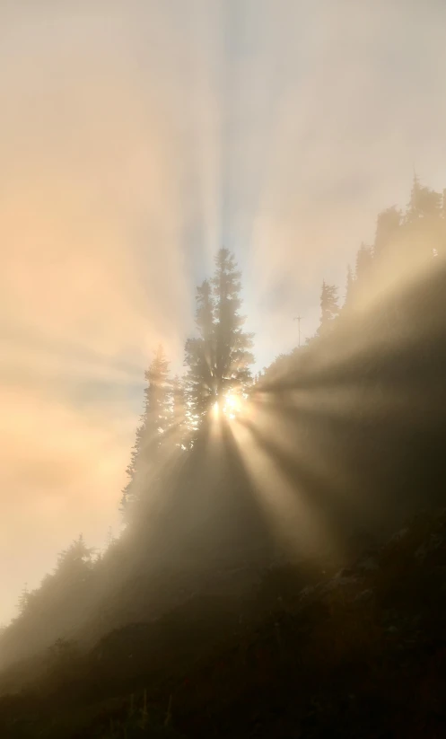 the sun is shining through the mist and fog