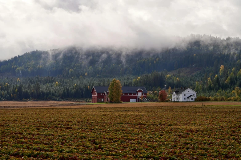 there is a red house on a green farm