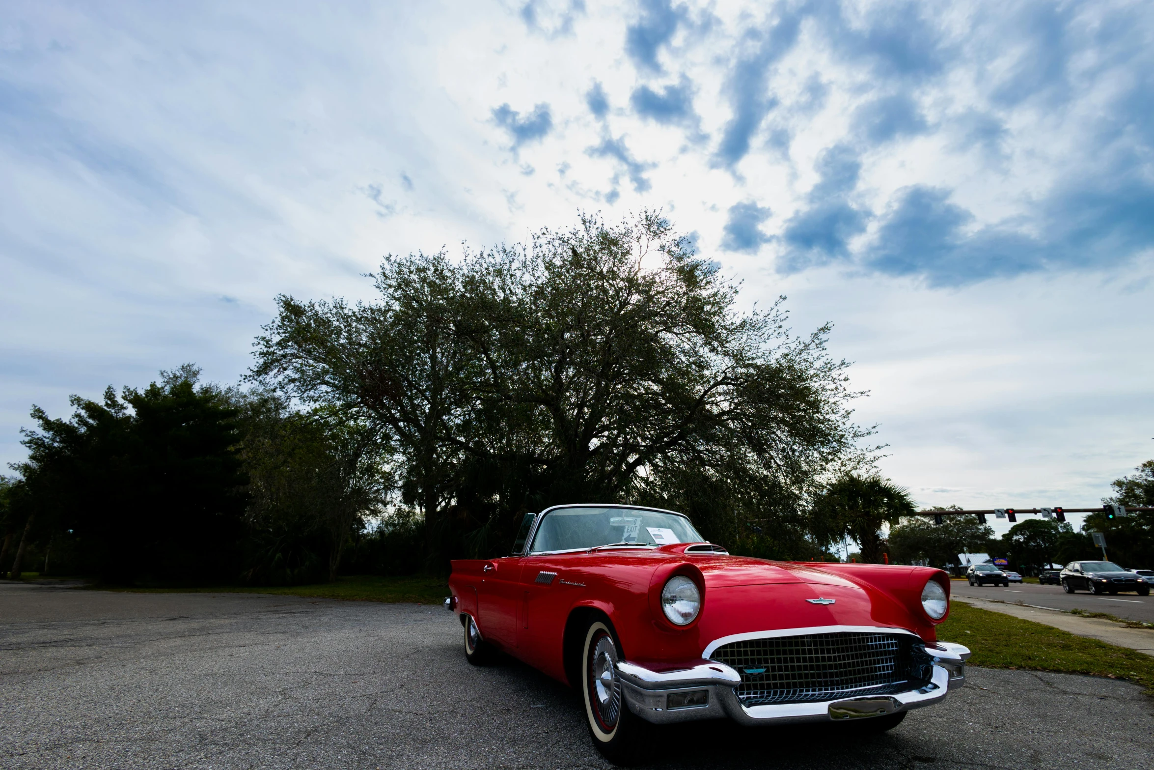 a red convertible parked next to a large tree