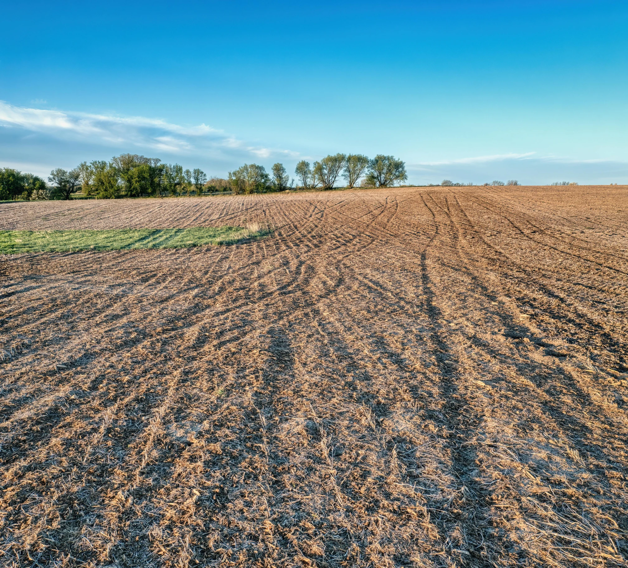 large field with lines of brown, barren land