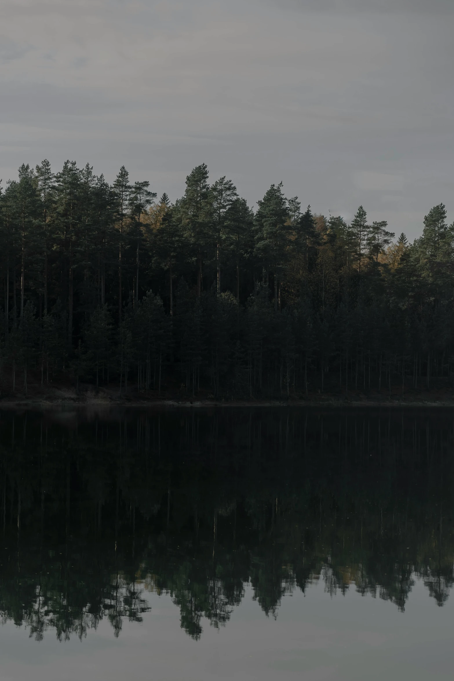 large trees stand in the distance across a lake