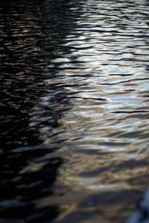 a calm body of water with little waves