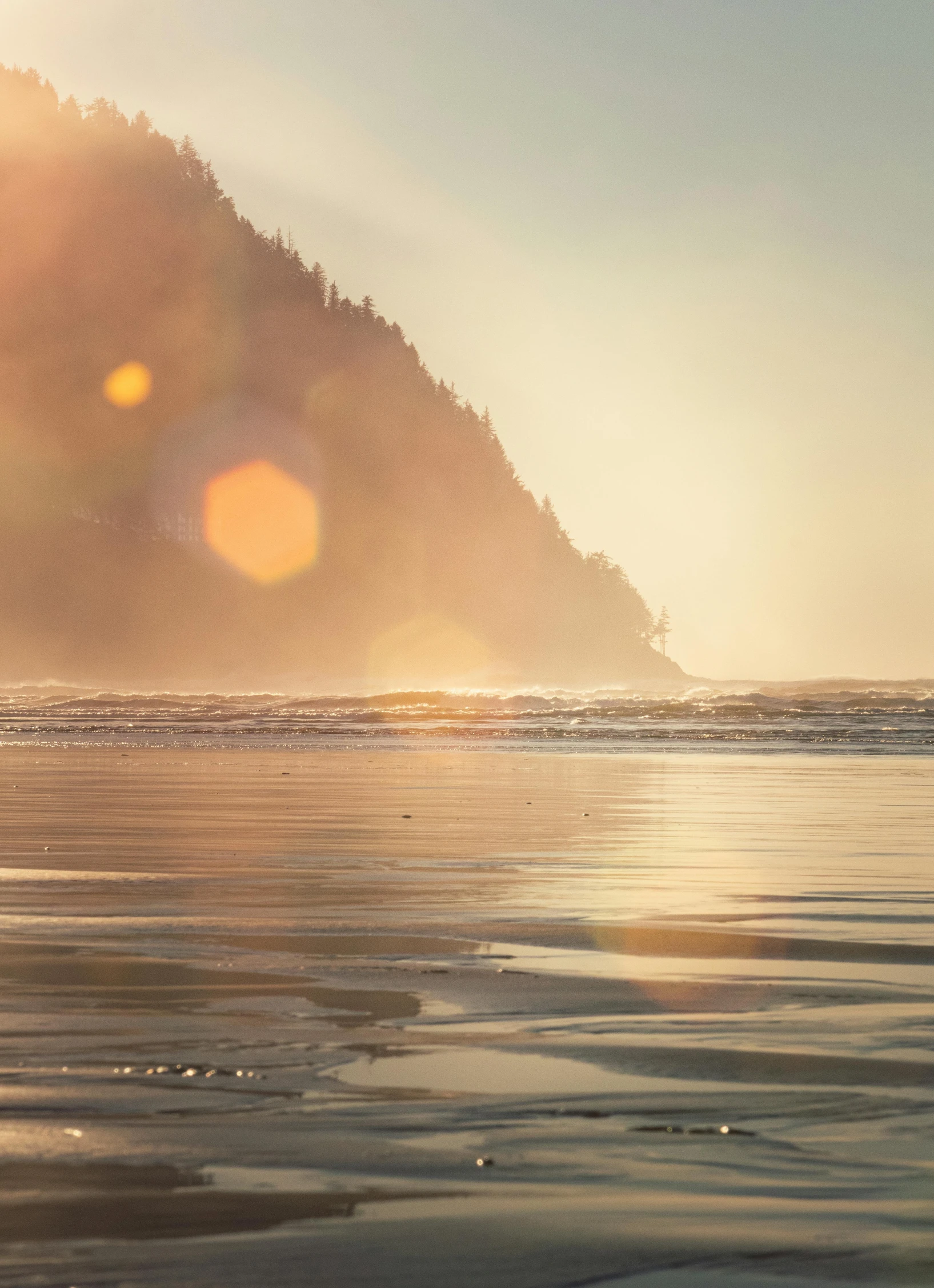 a person holding a surfboard on top of a body of water