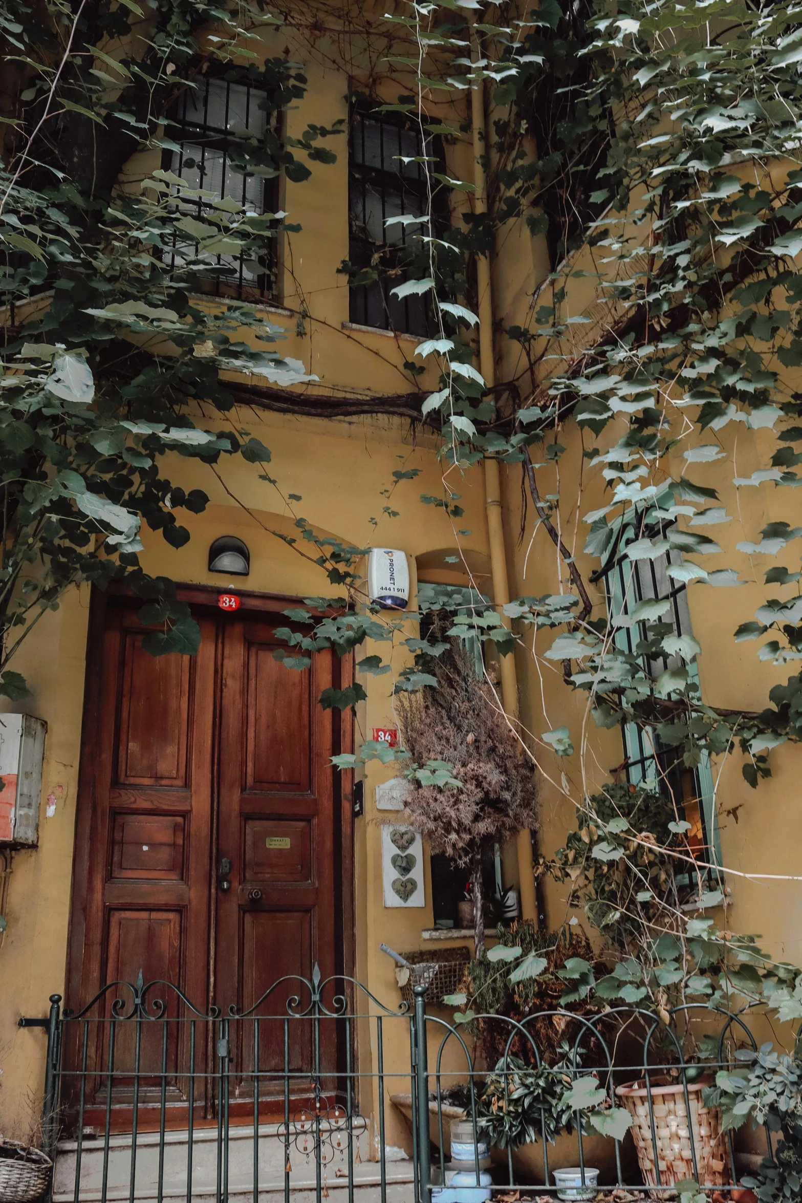 a doorway with green leaves on a yellow building