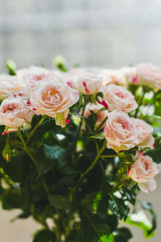 a bouquet of pink roses sits on a table