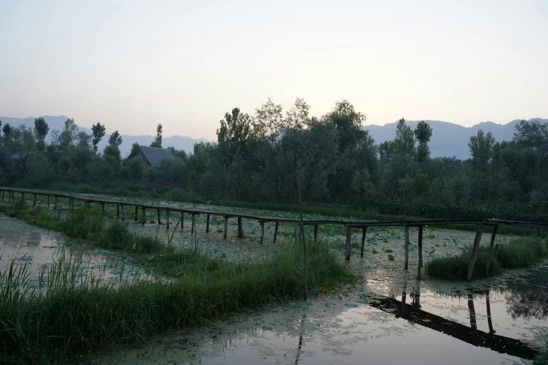 the train tracks lead along a field where a swamp is near the edge of it