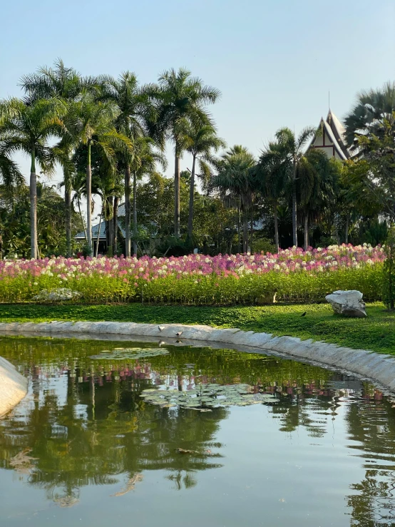 a view of a very pretty park pond and trees