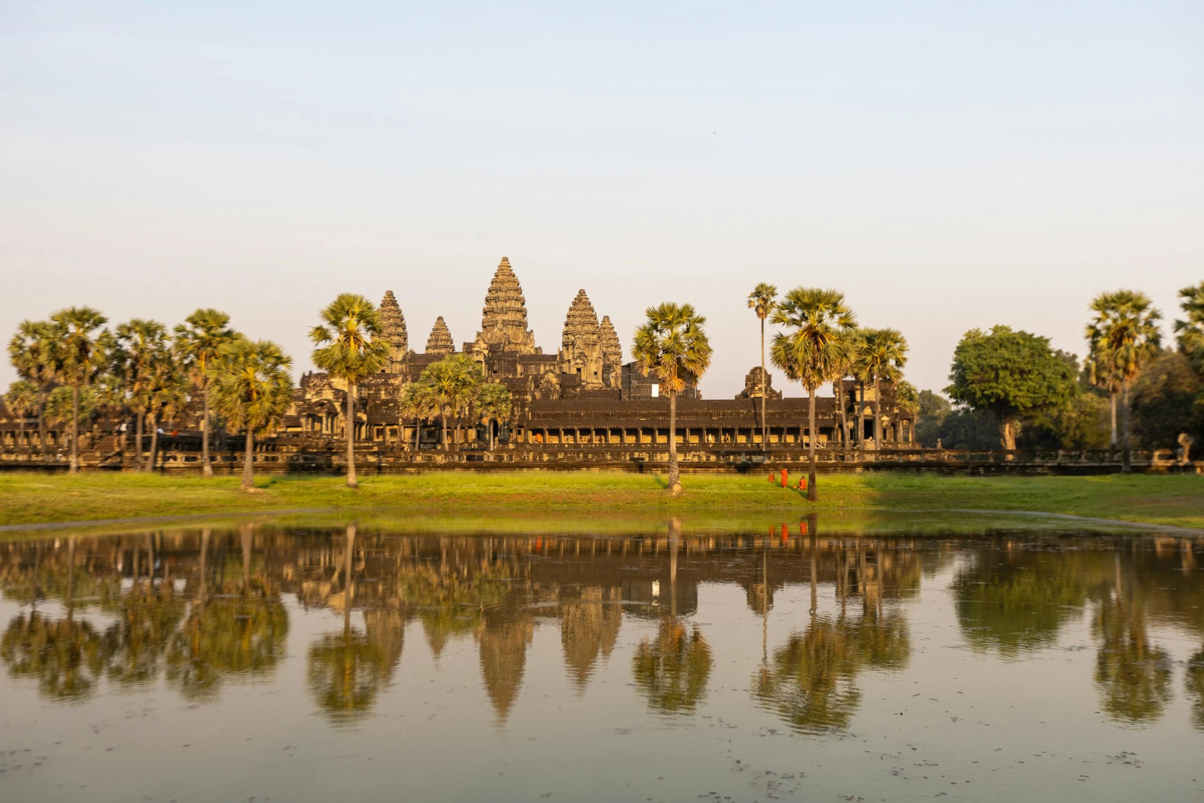 the reflection of the palm trees and the building with a pond