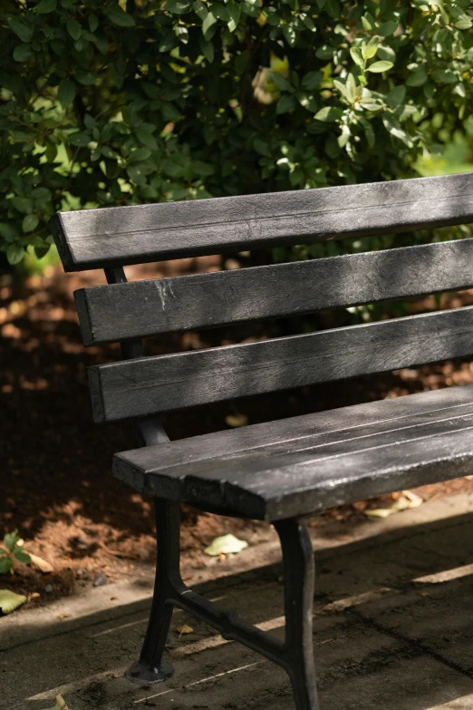 a black park bench with bushes and leaves in the background