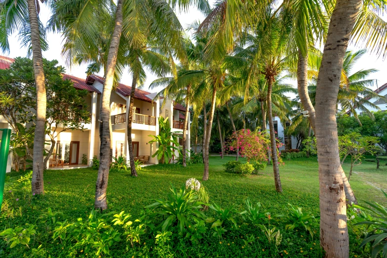 some buildings and palm trees in the grass