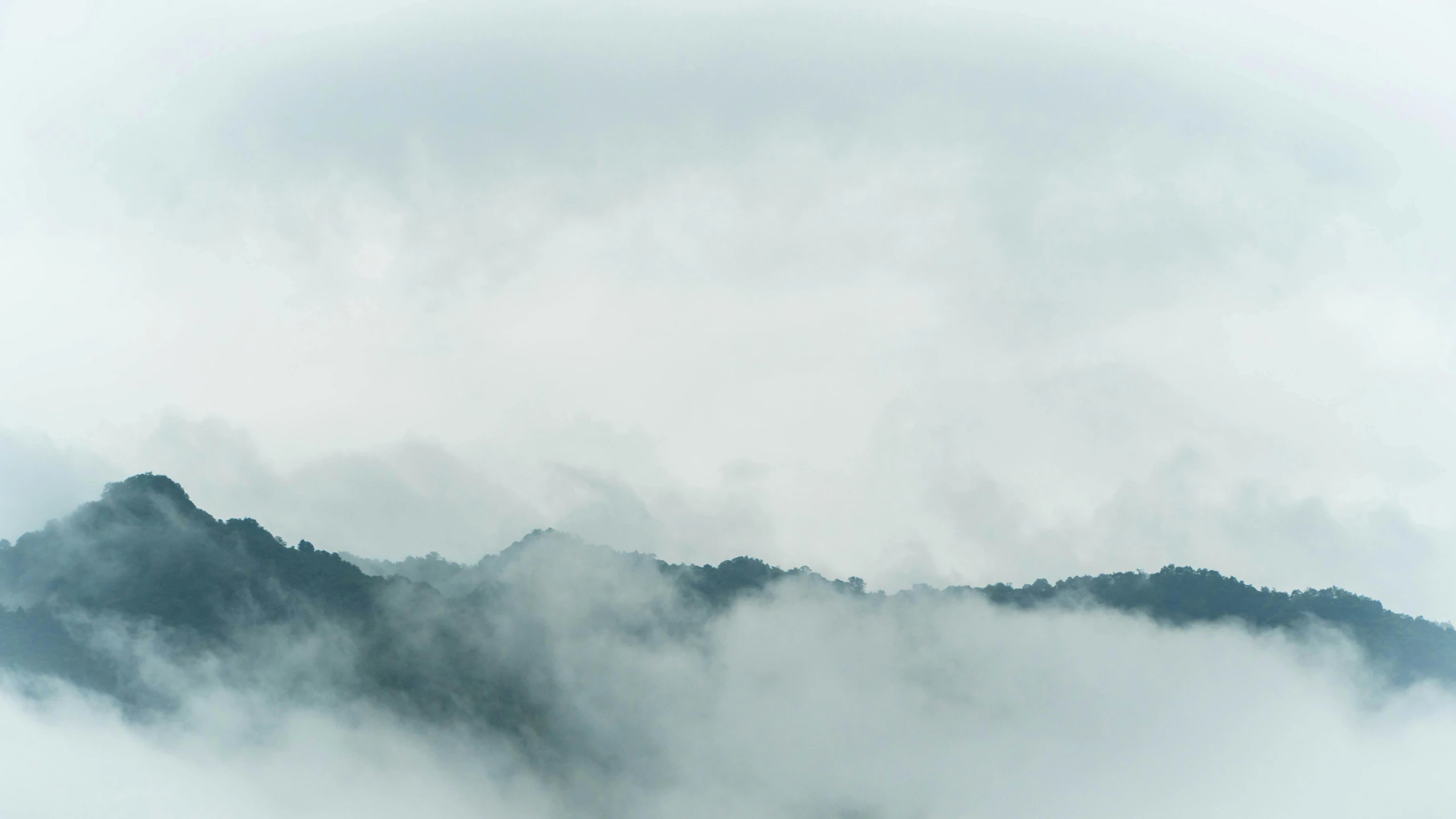 mist rolling through a mountain range with trees on top