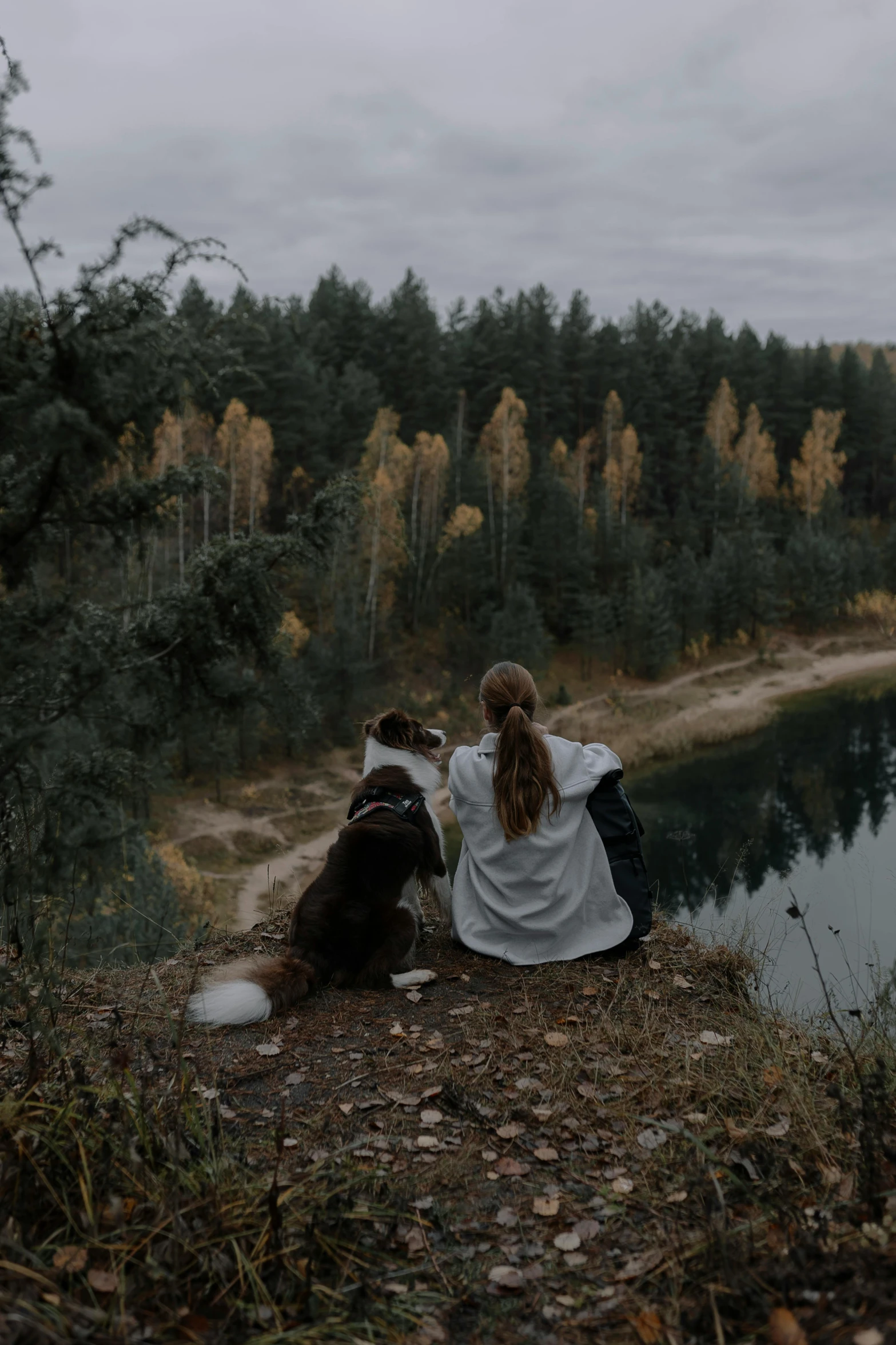 a woman sitting in the grass next to a dog with a forest behind her