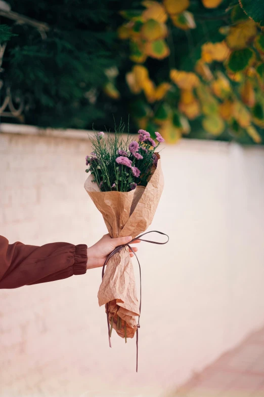 a person is holding a bunch of flowers in their hand