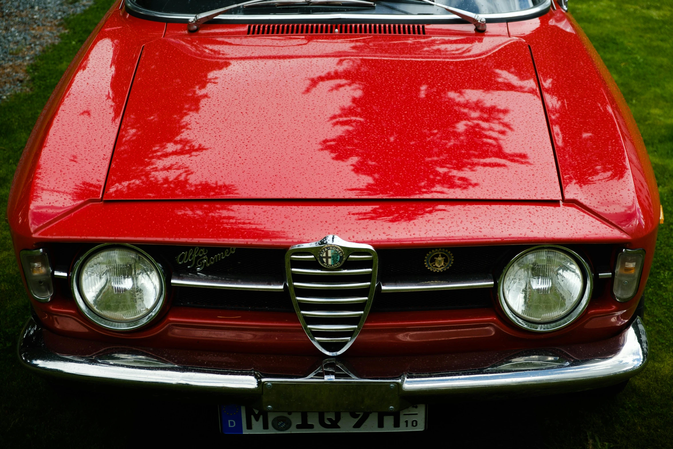 a red alfa is parked in the grass