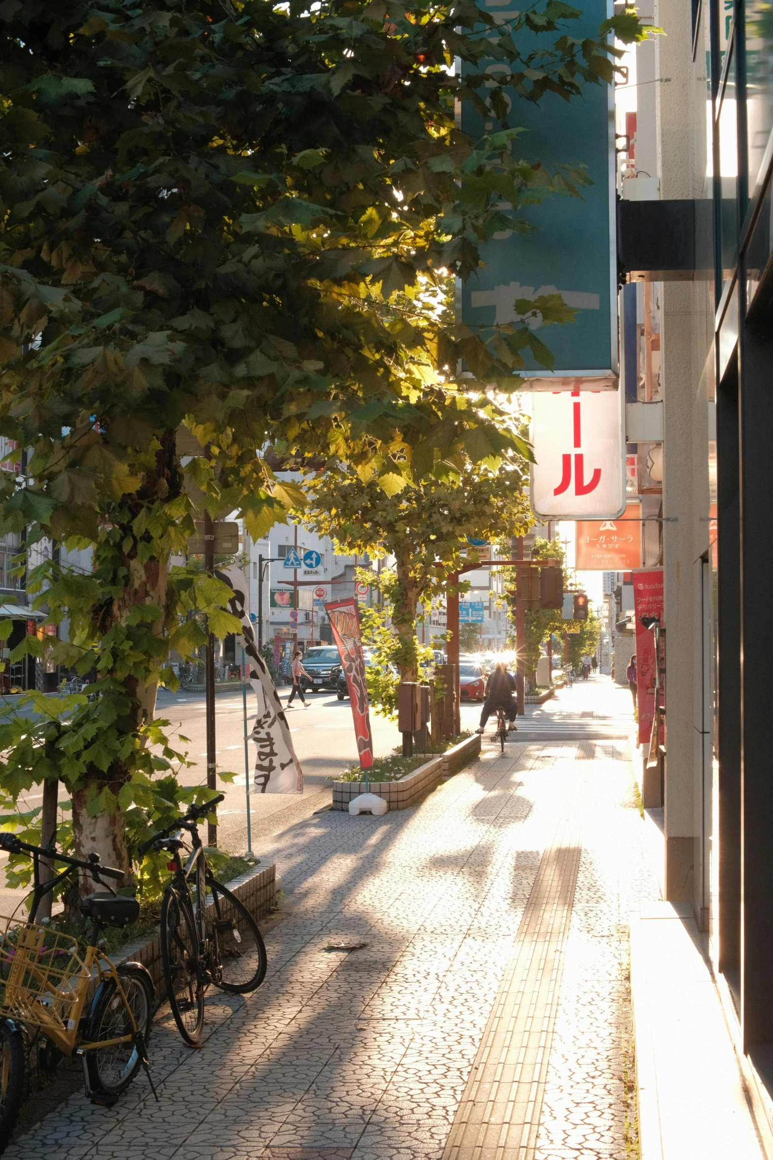 bicycles parked on the side of a city street