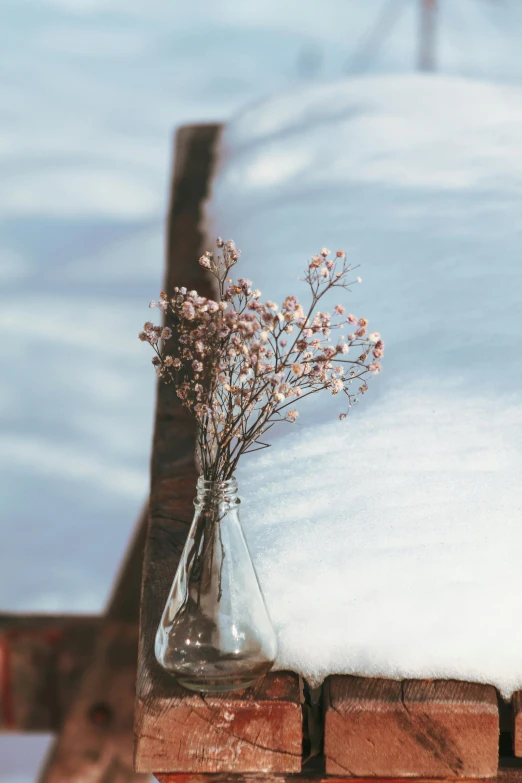 small pink flowers are in a glass vase on a wooden ledge