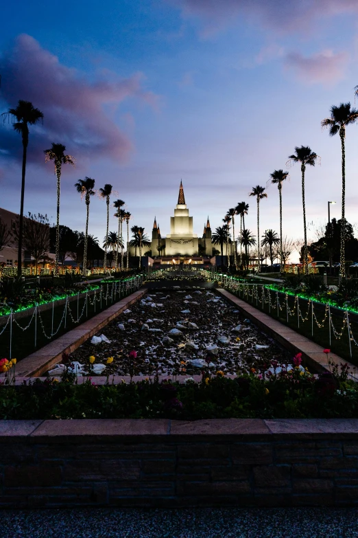 a landscaped fountain with palm trees and buildings in the background