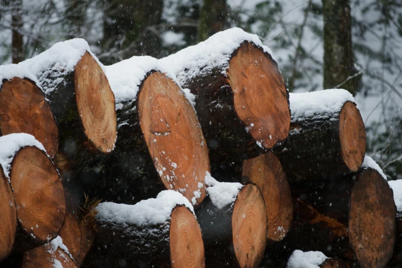 some logs stacked next to each other covered in snow