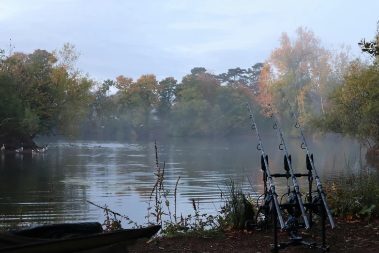 a lake filled with fishing poles in front of trees