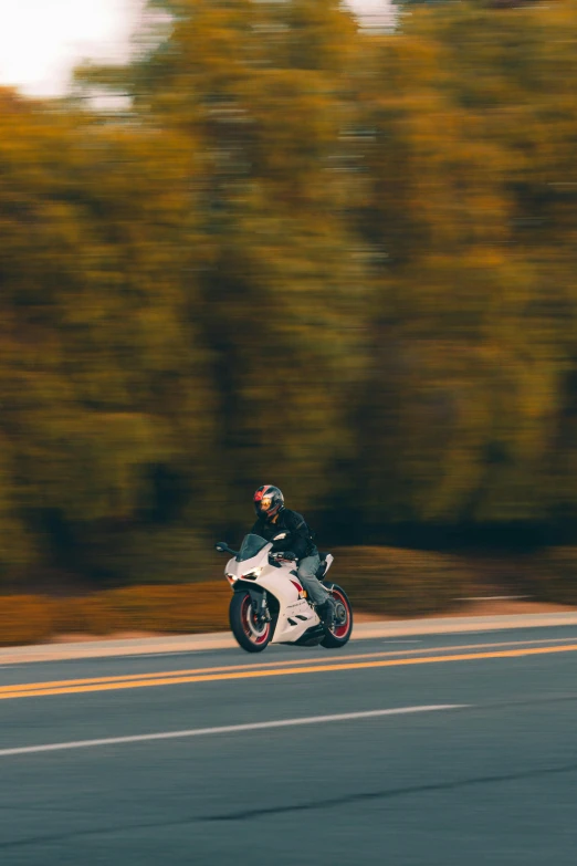 motorcycle on road with trees in the background