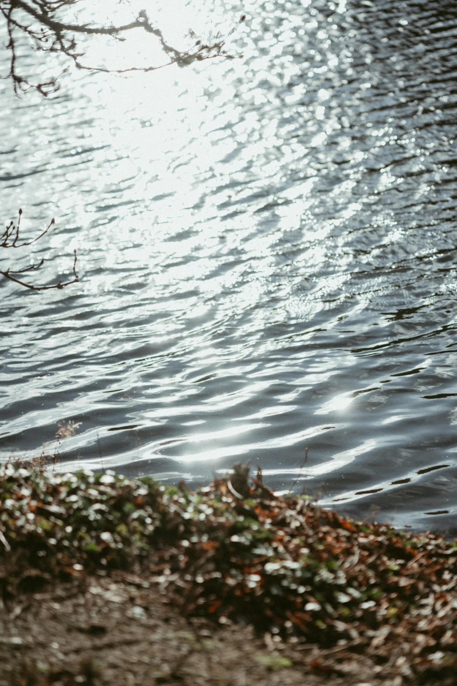 an image of some water by itself in the sun