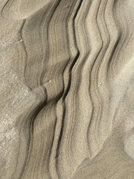 an interesting pattern on the sand in the dunes