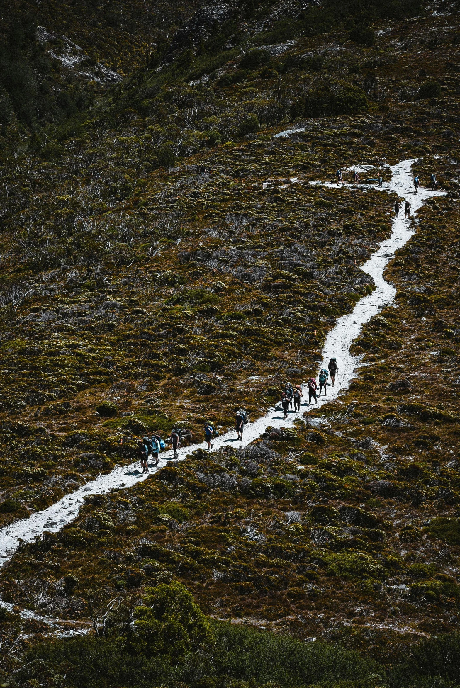 people walking across an empty path in the grass