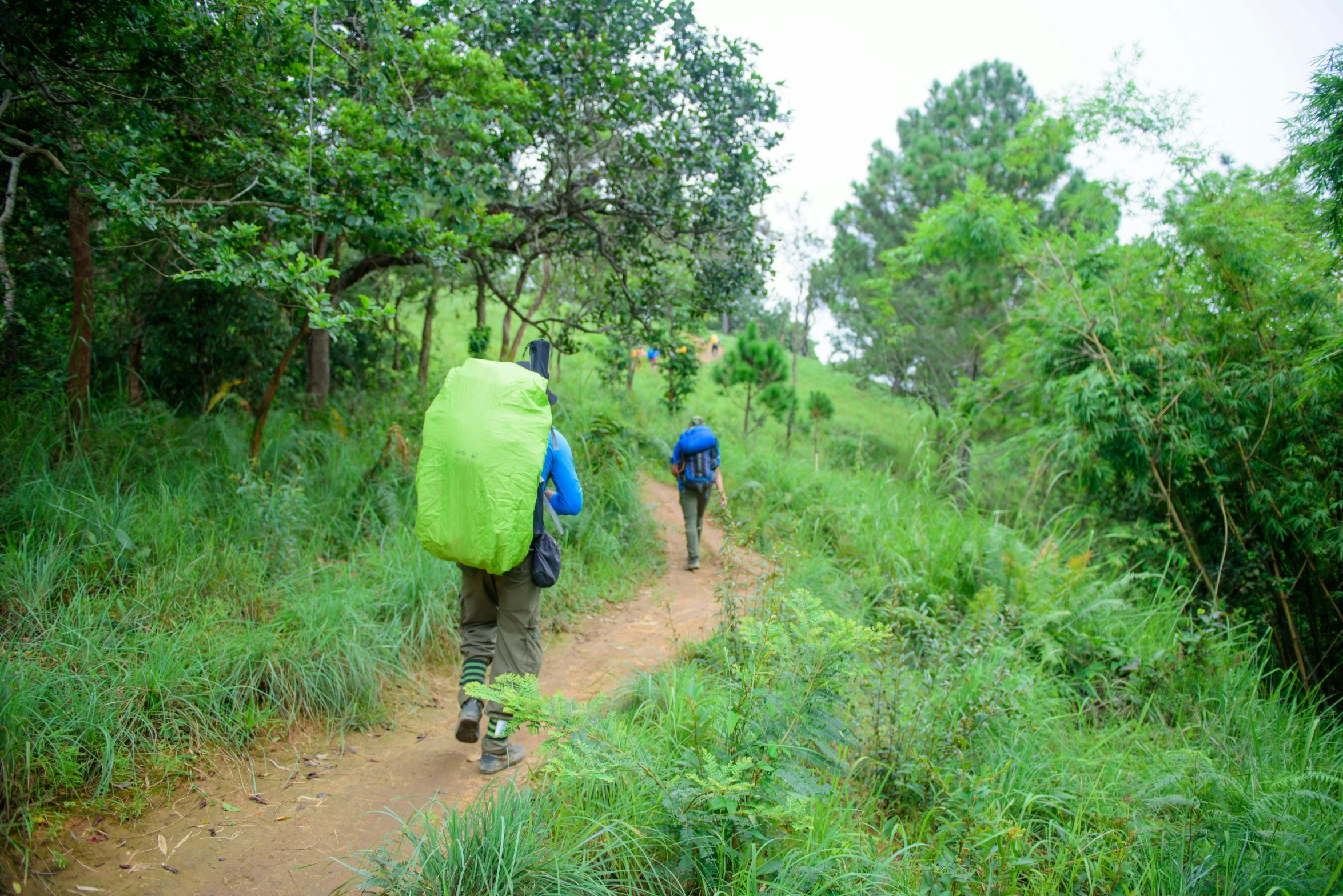 a couple of people walking through the woods