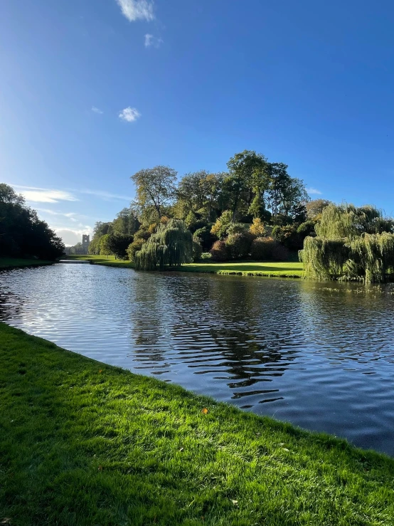 a large body of water with trees on both sides