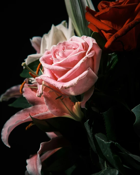 a bouquet of flowers with red stems and white petals