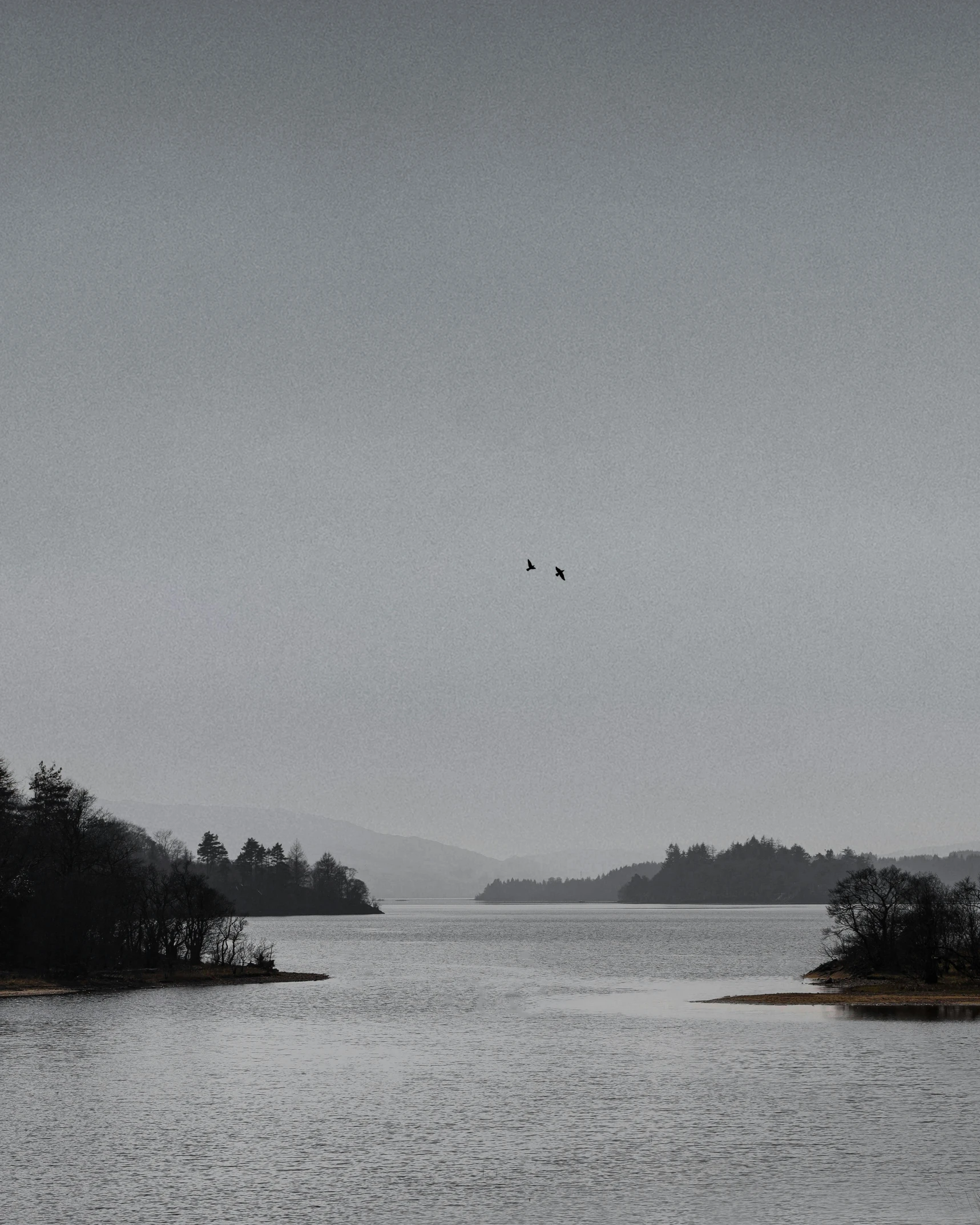 a water view with two birds flying in the air