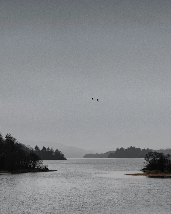 a water view with two birds flying in the air