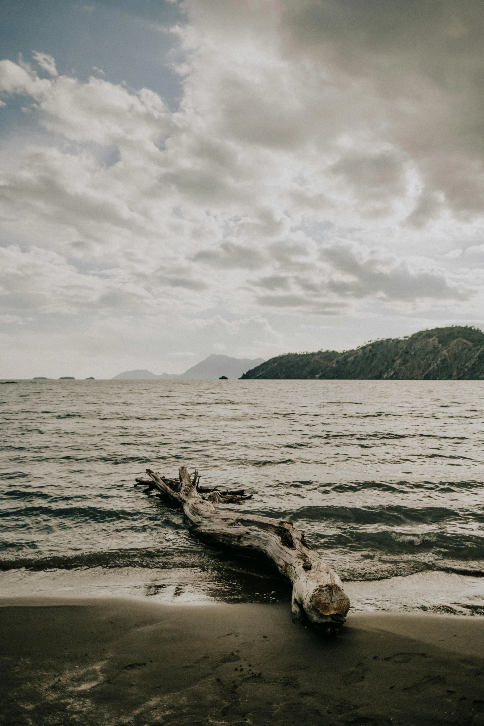 a large log laying on top of a sandy beach