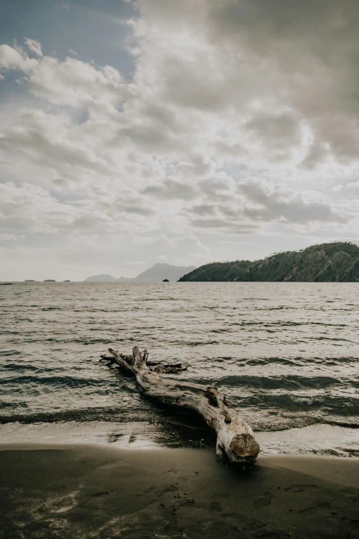 a large log laying on top of a sandy beach