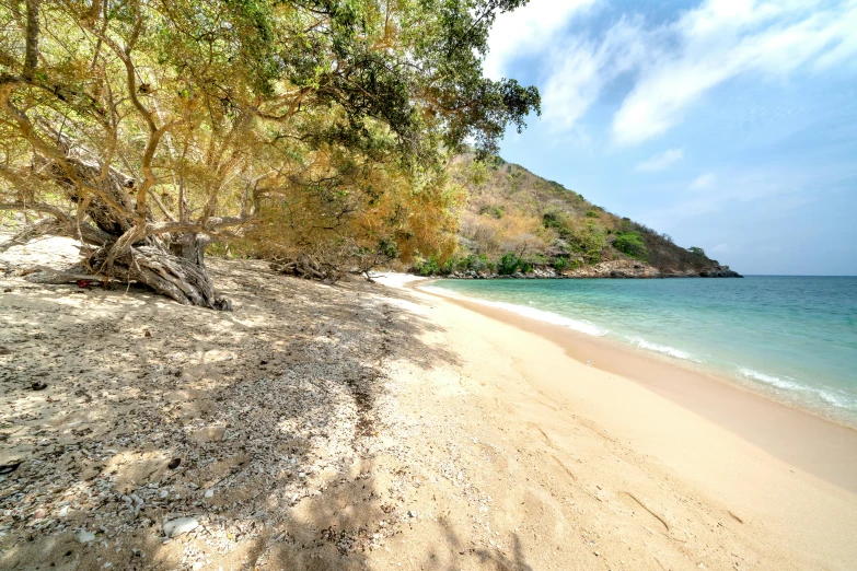 sandy beach and blue sky with a water line on the shore