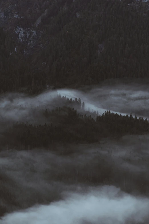 dark stormy forest in the mist with a mountain in the distance