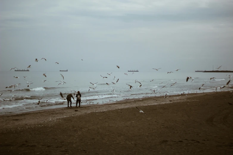 a group of people standing in the water by some birds